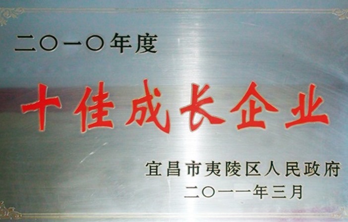 2010年度 十佳成長企業(yè)